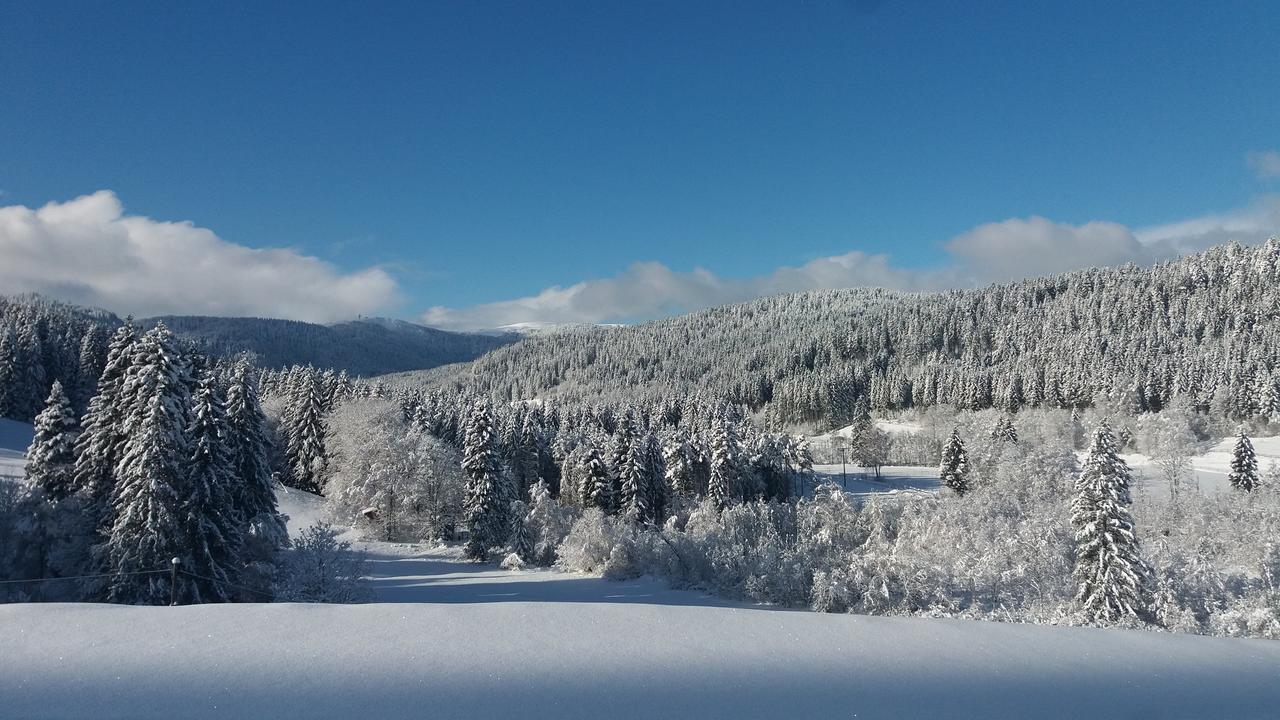 Gaestehaus Behabuehl Feldberg  Eksteriør bilde